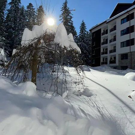 Gardens B21 Morunov Borovets