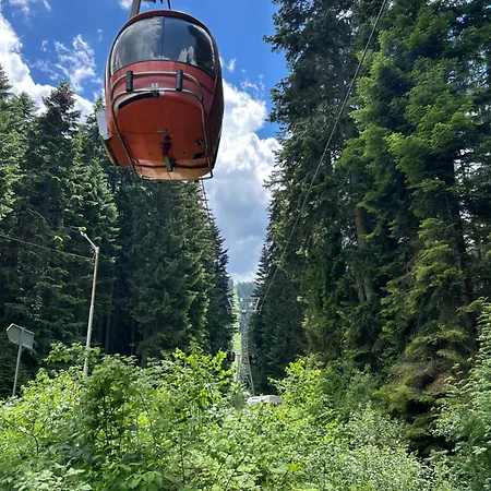 Gardens B21 Morunov * Borovets
