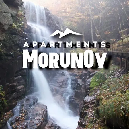 Gardens B21 Morunov